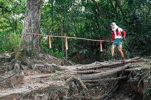 BIB: 
                            <button type="button" onclick="openModal(27803146)" class="btn btn-primary btn-sm float-right btn-popup" data-toggle="modal" data-target=".modal-high-quality">
                        <i class="fas fa-shopping-cart"></i> Add to Cart
                    </button>
                                            <button type="button" onclick="isThisMe(27803146, true)" class="btn btn-success btn-sm float-right btn-popup btn-isme hidden" data-toggle="tooltip" data-placement="bottom" title="นี่คือรูปของคุณใช่ไหม คลิกที่นี่เพื่อเอาเข้าอัลบั้ม">
                        <i class="fas fa-plus"></i> Add to album
                    </button>
                    <button type="button" onclick="isThisMe(27803146, false)" class="btn btn-warning btn-sm float-right btn-popup btn-isnotme hidden">
                        <i class="fas fa-ban"></i> Remove from album
                    </button>